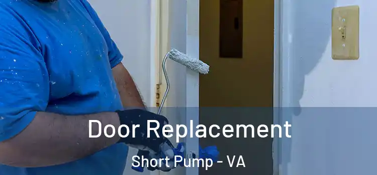  Door Replacement Short Pump - VA