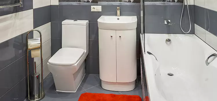 Hansgrohe Shaving Mirror Short Pump